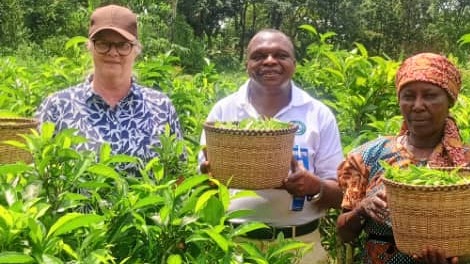 Mtaalamu wa Chai kutoka Bodi atembelea shamba la chai